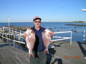 John Merlino Wins Comp 8 with 2 Snapper weighing 4050gms 8th Nov 2009
